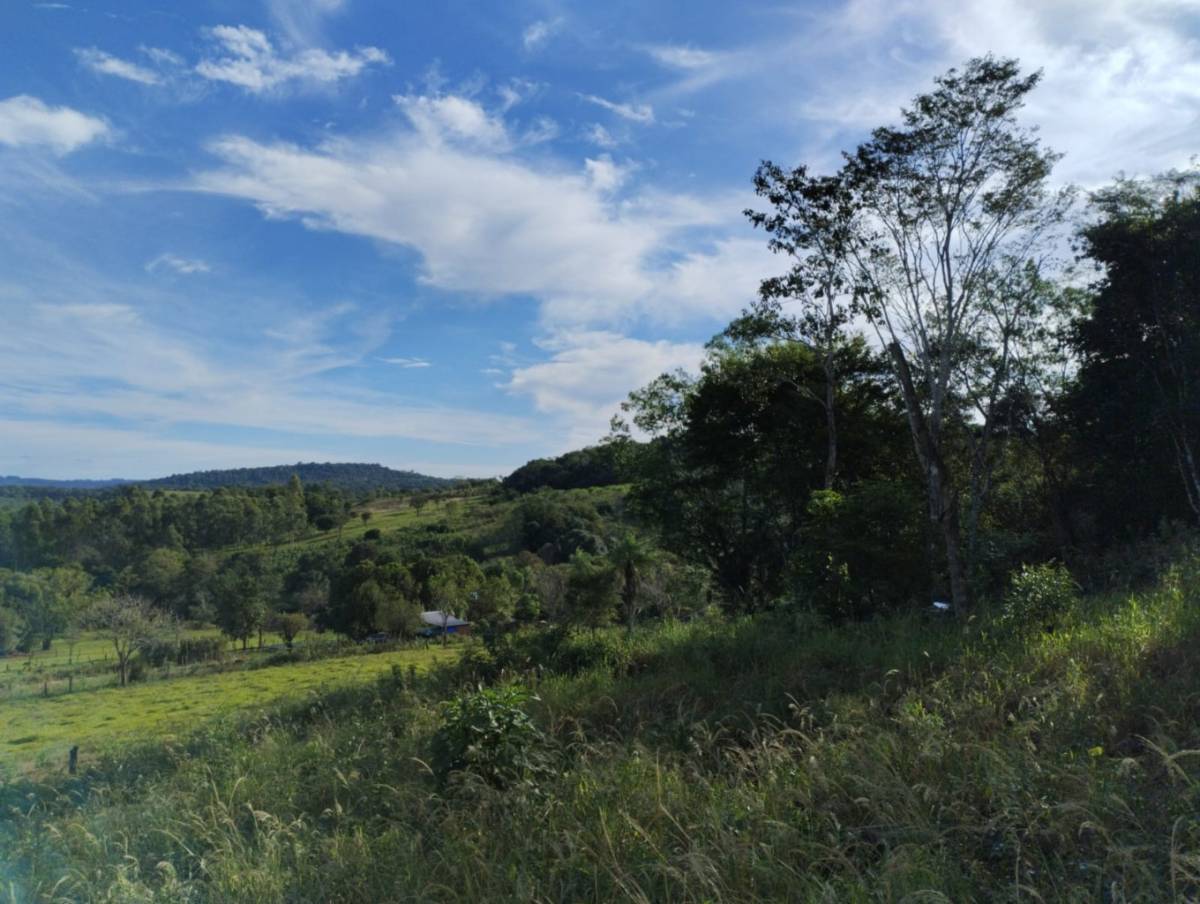 VENTA DE GRANJA de 6ha. — foto 2