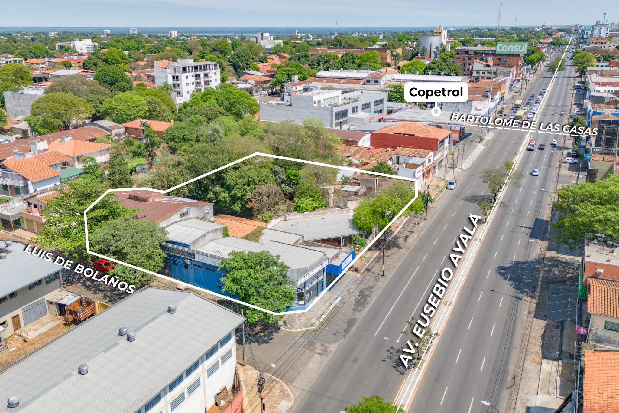 PROPIEDAD EN ESQUINA SOBRE AVDA EUSEBIO AYALA — foto 3