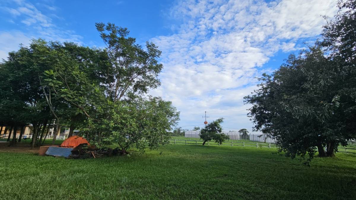 Venta de Inmueble Rural Agrícola Ganadero en Itacurubí de la Cordillera — foto 2