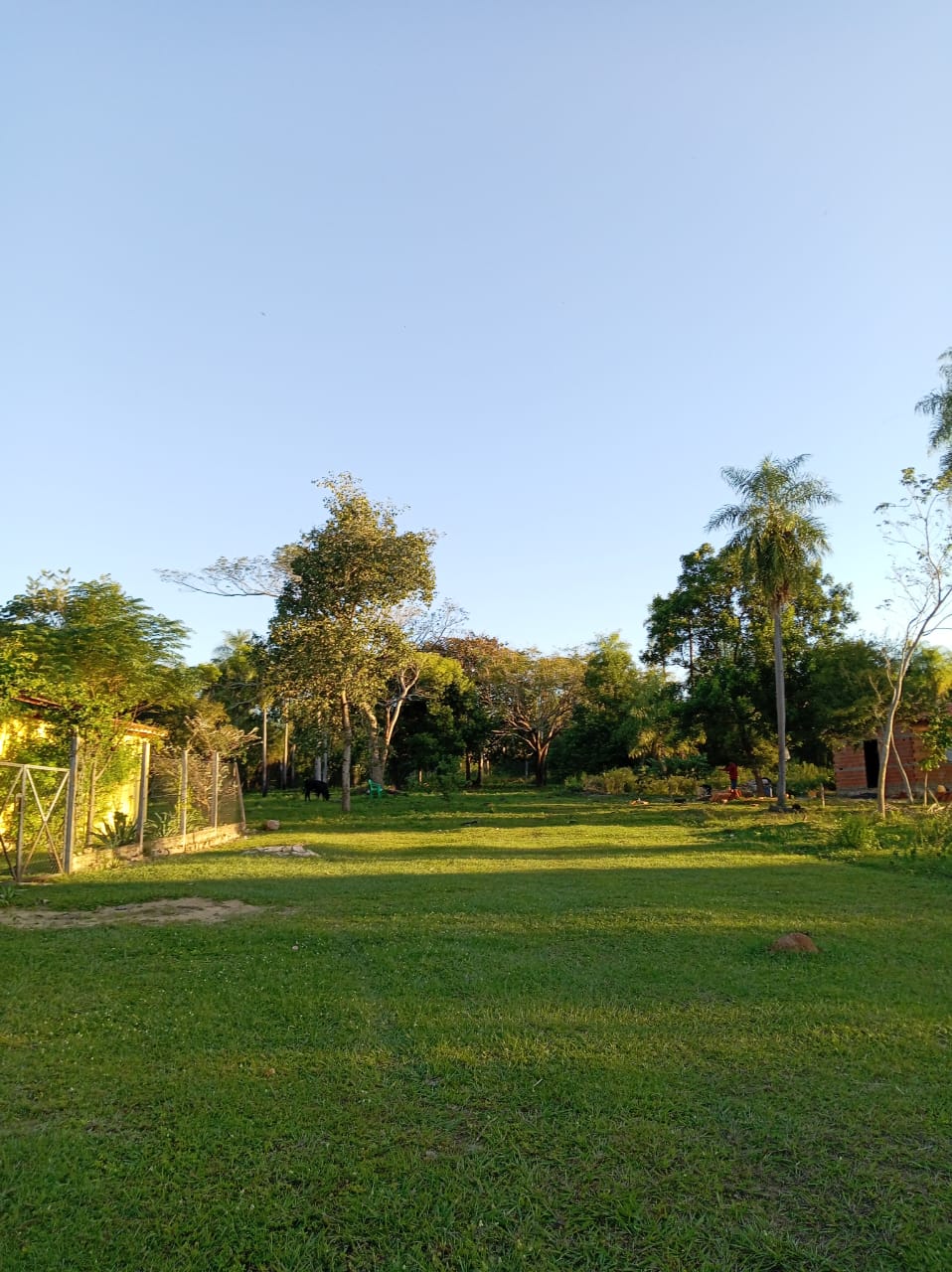 Terreno en venta en Nueva Colombia — foto 3
