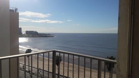 Alquiler Apto Guayaqui Casi Rambla 270 M2
