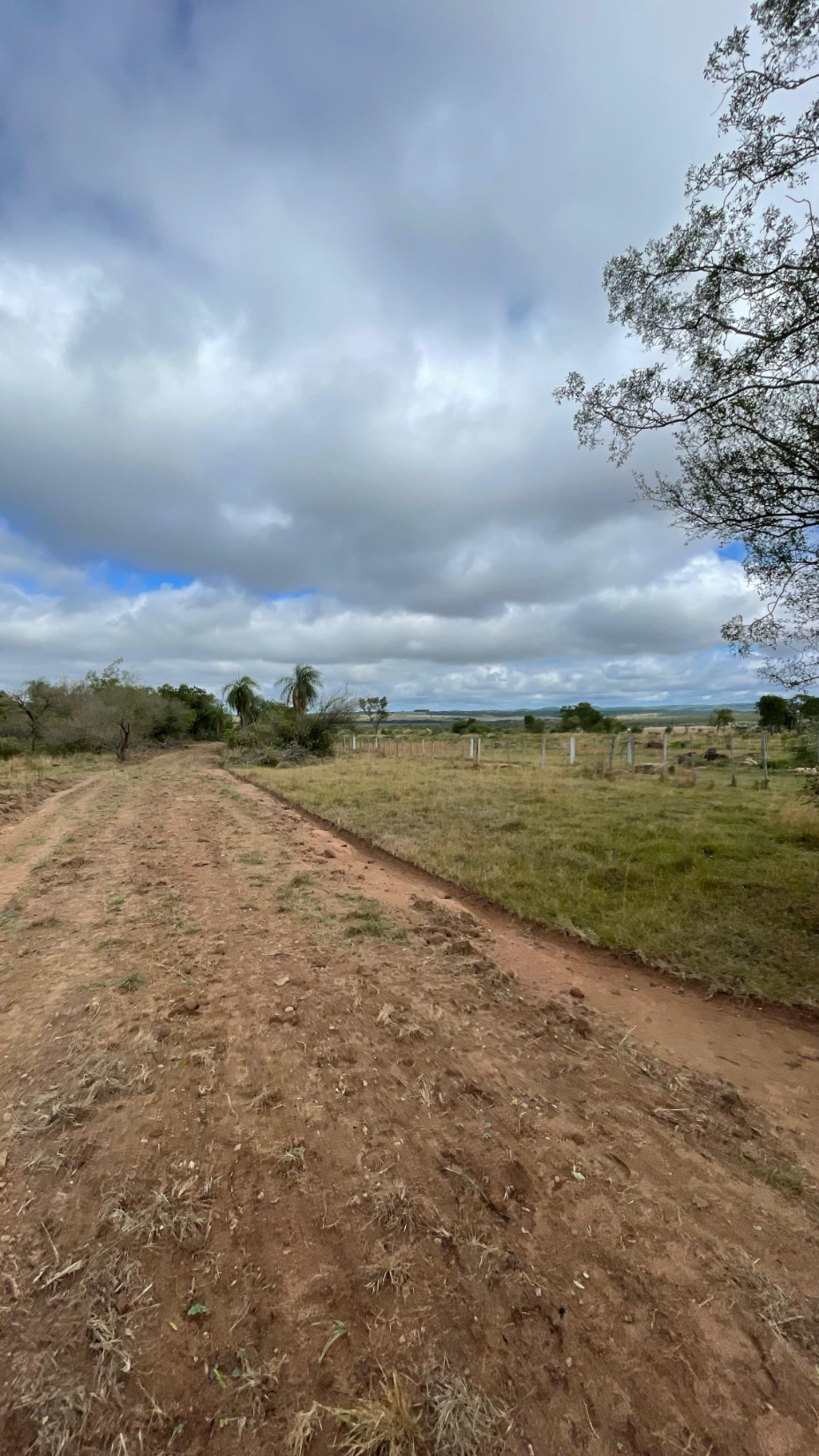 Vendo 19 hectáreas en Quiindy con hermoso arroyo — foto 2