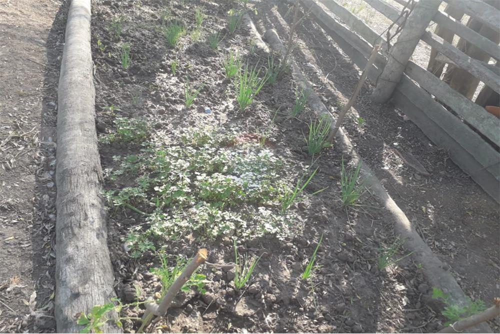 Venta - Estancia - Presidente Hayes — foto 3