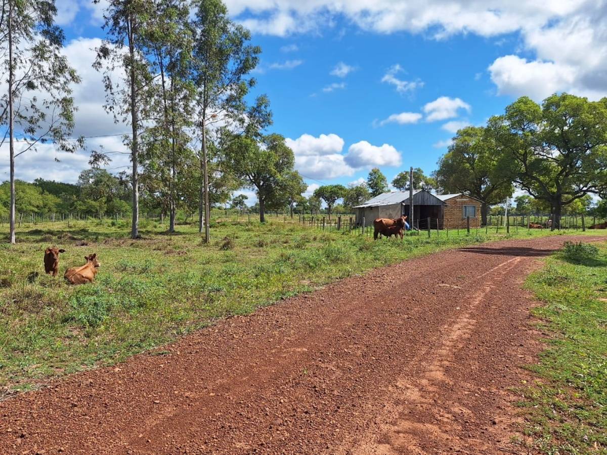 Vendo Hermosa Estancia en Horqueta -Concepción 900 hectareas! — foto 2