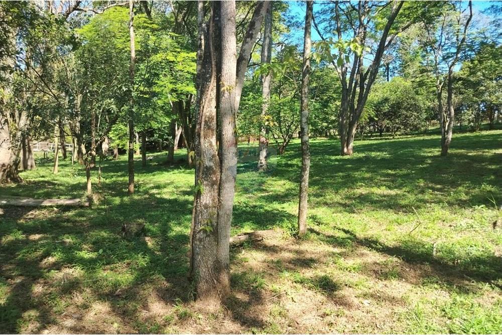 Finca agrícola en Venta en Minga Guazú - CDE, Alto Paraná — foto 3