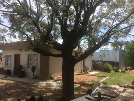 Casa 1 Dormitorio San José De Carrasco 2020 M2 De Terreno