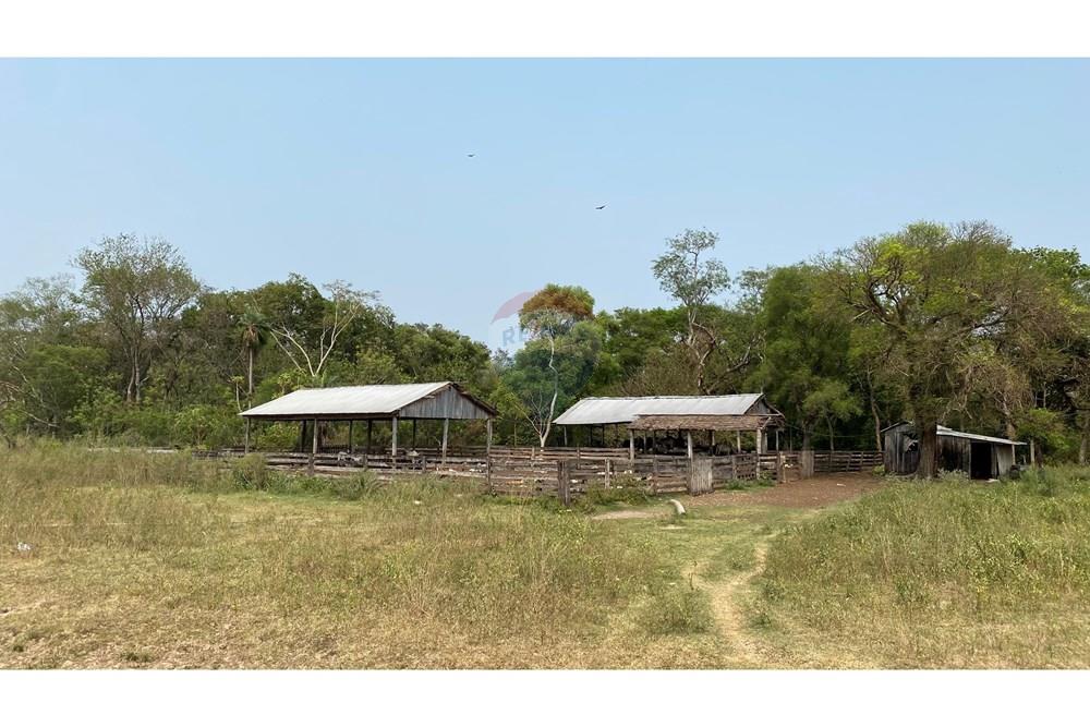 Vendo Estancia Desarrollada de 10.019 Hectáreas en Caaguazu — foto 2