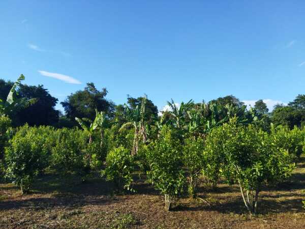 EN VENTA – PROPIEDAD ÚNICA EN PARANÁ POTY, PENÍNSULA – PRESIDENTE FRANCO — foto 3