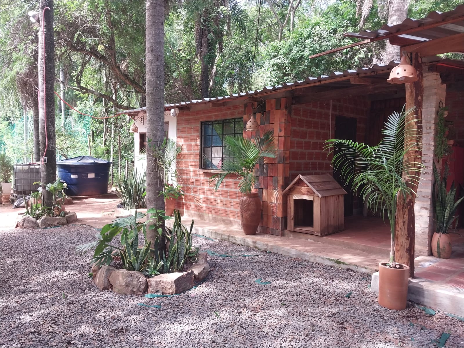 vendo casa quinta en caacupe aquino cañada — foto 2
