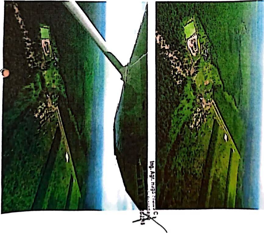 VENDO CAMPO EN FUERTE OLIMPO DE 3.098 HECTÁREAS — foto 3