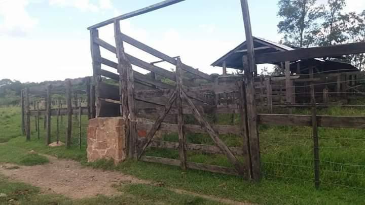 VENDO 285 HECTAREAS EN MISIONES — foto 2