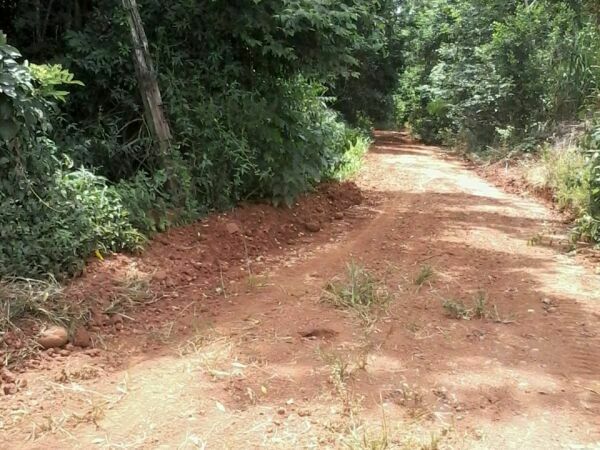 PROPIEDAD UNICA EN ENCARNACION CERCA DEL RIO PARANA — foto 3