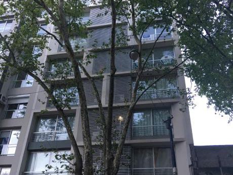 Impecable Apartamento En Cordón Sur, 2 Dorm, Garaje