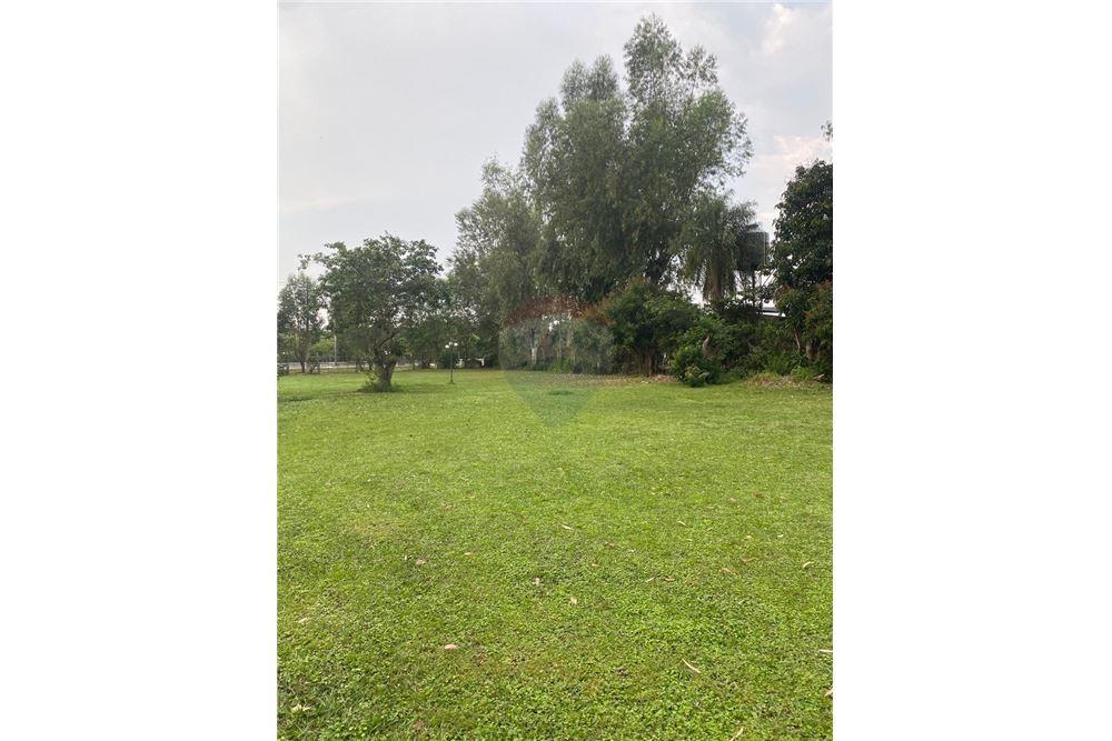 VENDO EXCLUSIVO TERRENO EN SAN BERNARDINO — foto 3