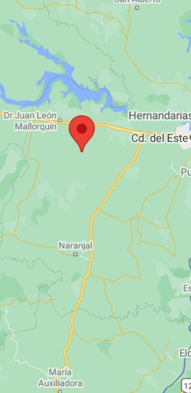 VENDO PROPIEDAD RURAL EN ALTO PARANA DISTRITO DE ITAKYRY. — foto 2