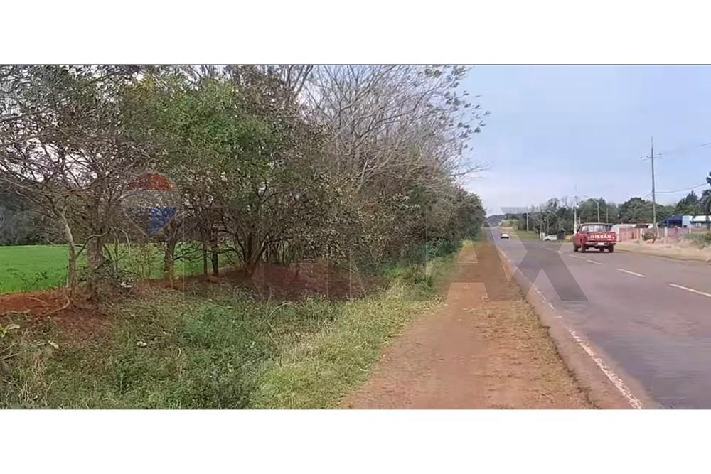 VENDO CAMPO AGRICOLA SOBRE RUTA EN CAPITAN MIRANDA ITAPUA — foto 3