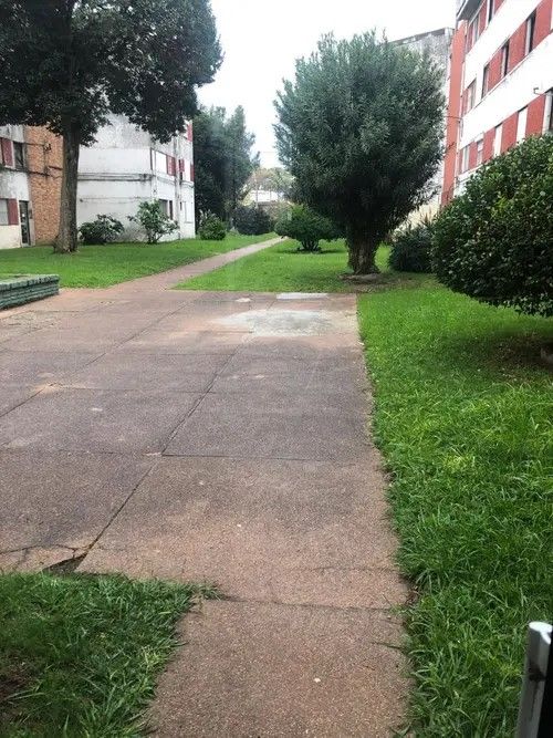 Apartamento En Venta Y Alquiler 3 Dormitorios · Foto 11