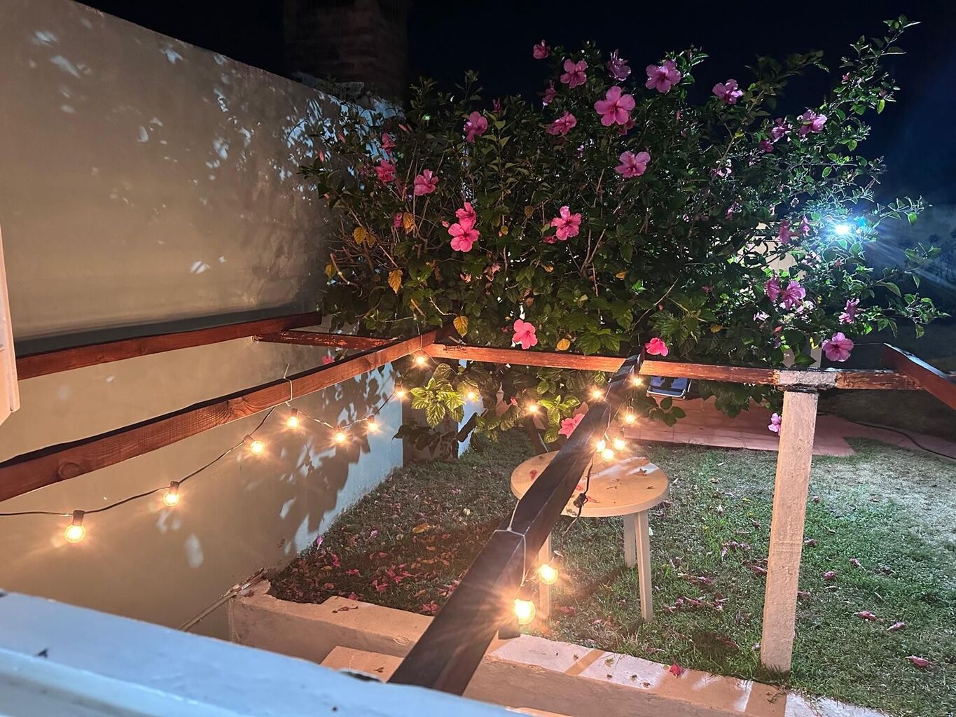 Alquiler de casa en Playa Mansa, Punta del Este, 2 dormitorios y 1 baño · Foto 12