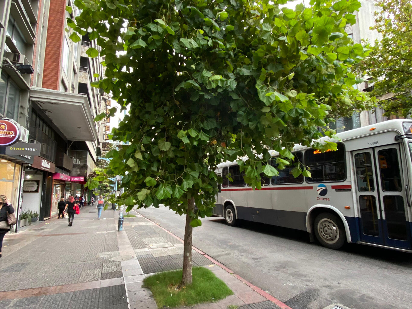 Alquiler Local comercial en 18 de Julio | 120m2 · Foto 5