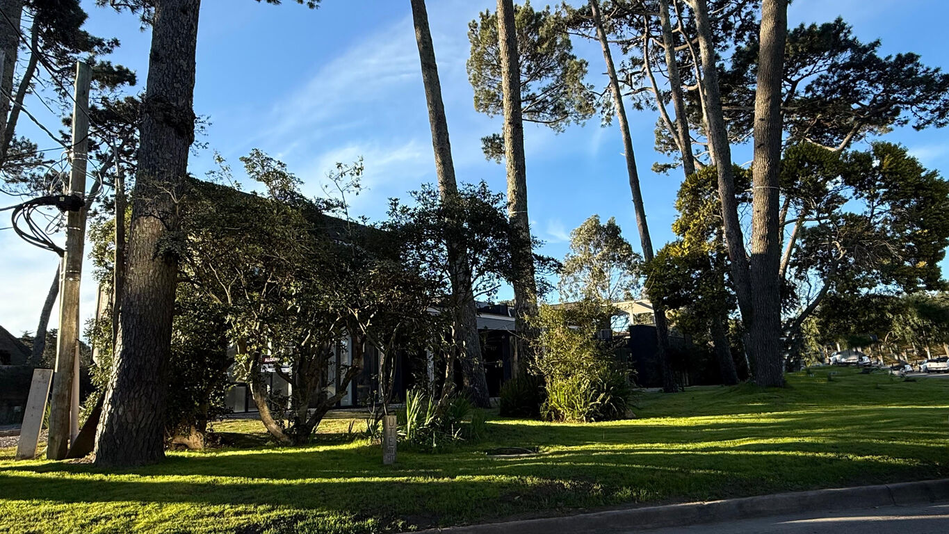 Local en Pedragosa Sierra - Exclusivo Desarrollo Gastronómico