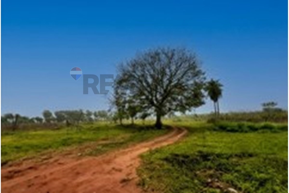 Granja Avícola en Producción en Pirayú — foto 3