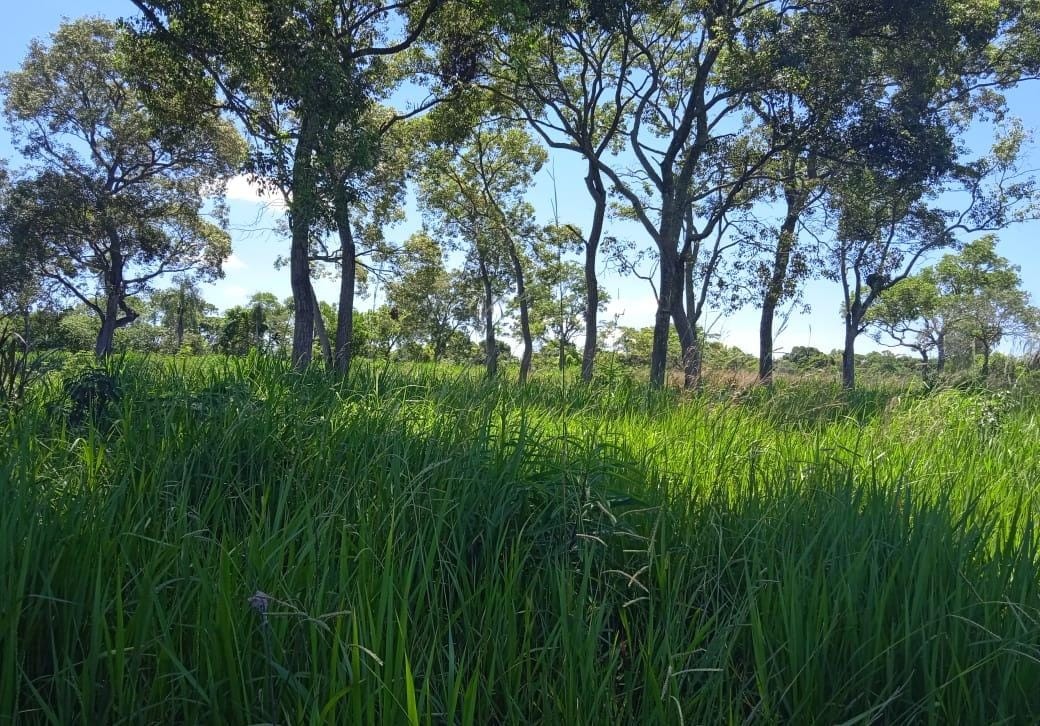 Terreno Rural  157 Ha. - Belén Concepción — foto 3