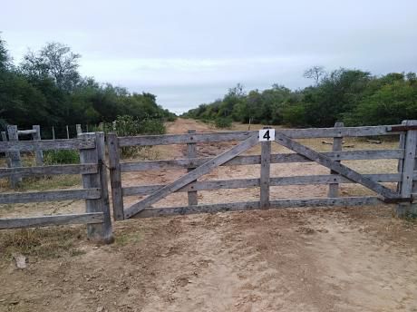 Vendo 31.500 Hectáreas. Departamento De Alto Paraguay