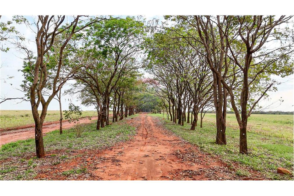 Estancia/Campo - Venta - Nueva Germania, Paraguay — foto 2
