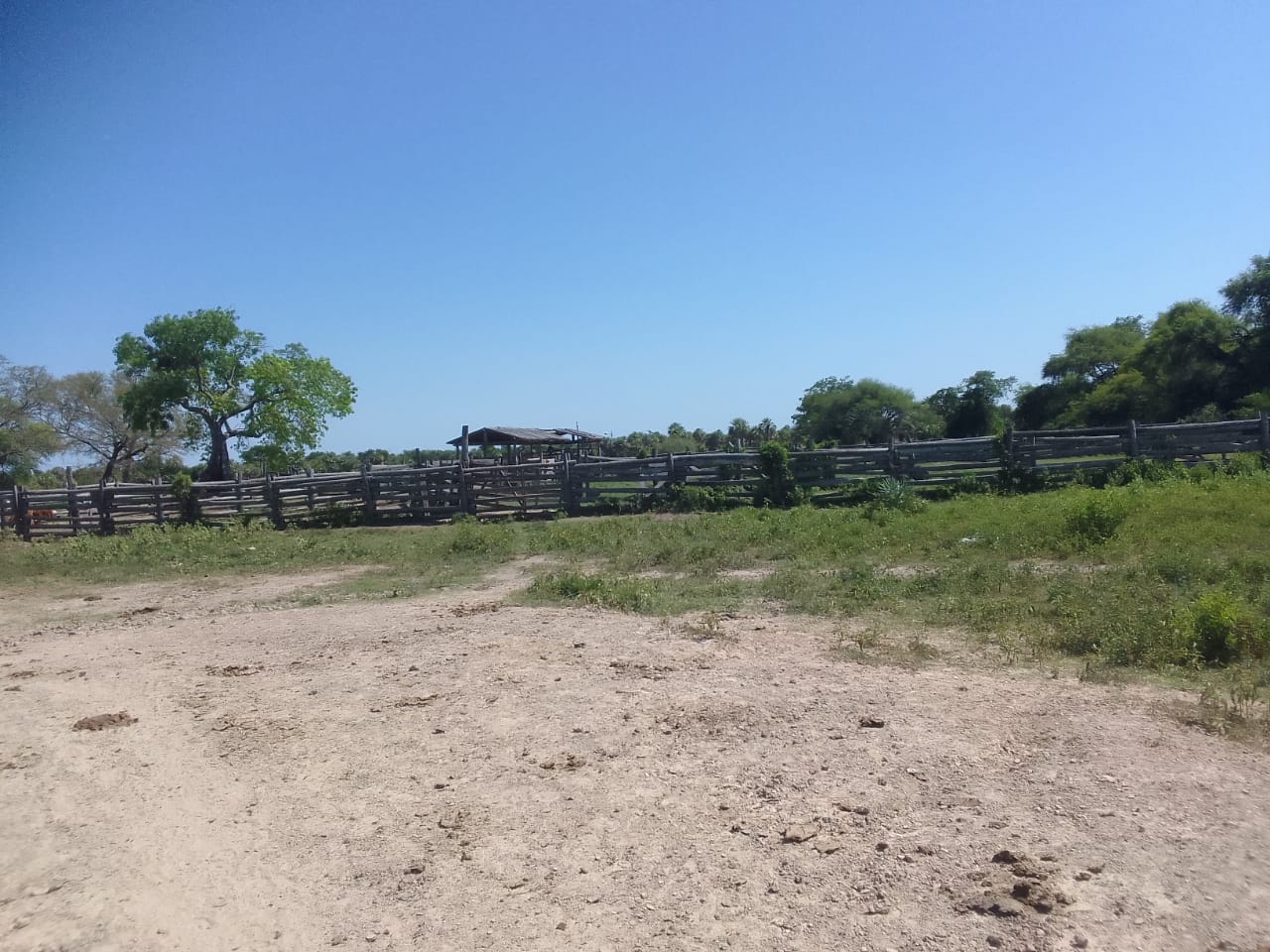 VENDO ESTANCIA DE 4350 HAS EN VILLA HAYES - LCS4781311 — foto 3