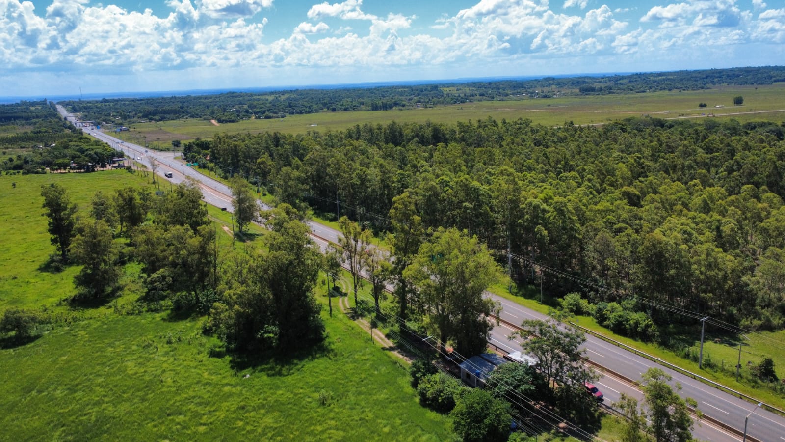VENDO 10 HECTAREAS SOBRE RUTA PY02 - CORONEL OVIEDO — foto 2