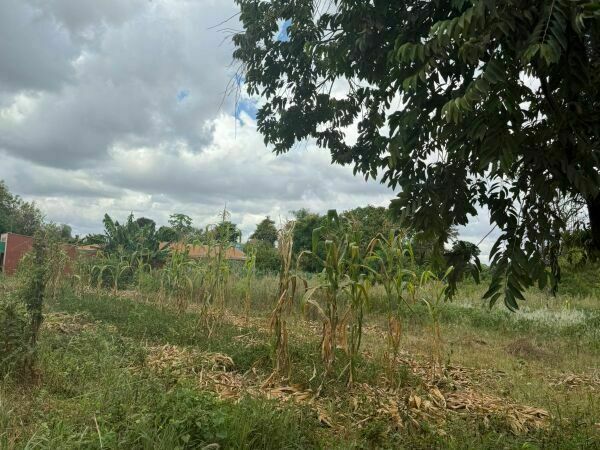 4 TERRENOS JUNTOS A 550 METROS DE LA RUTA INTERNACIONAL| PROPIEDAD EN ESQUINA — foto 3