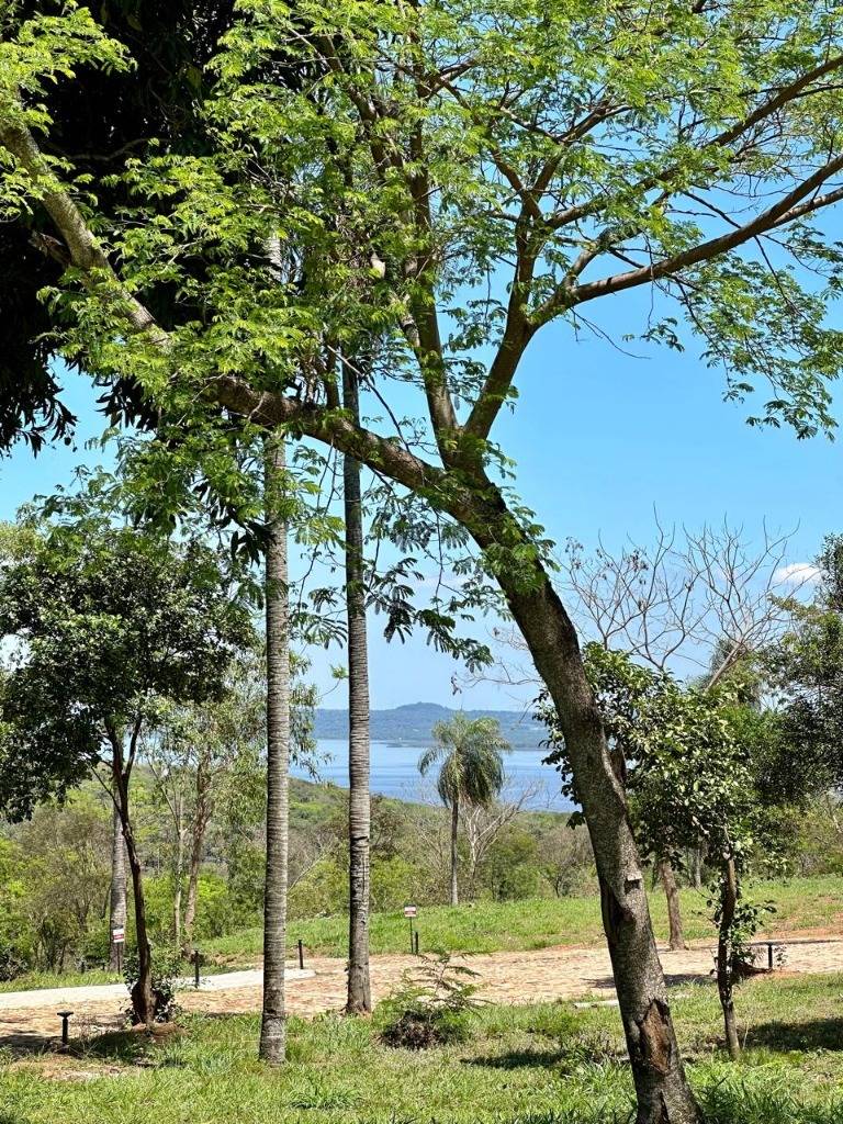VENDO terreno en MADRE SELVA - Ciervo Kua — foto 3