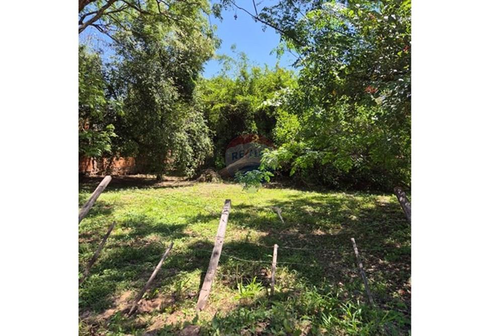 AMPLIO TERRENO EN MARIANO ROQUE ALONSO — foto 2
