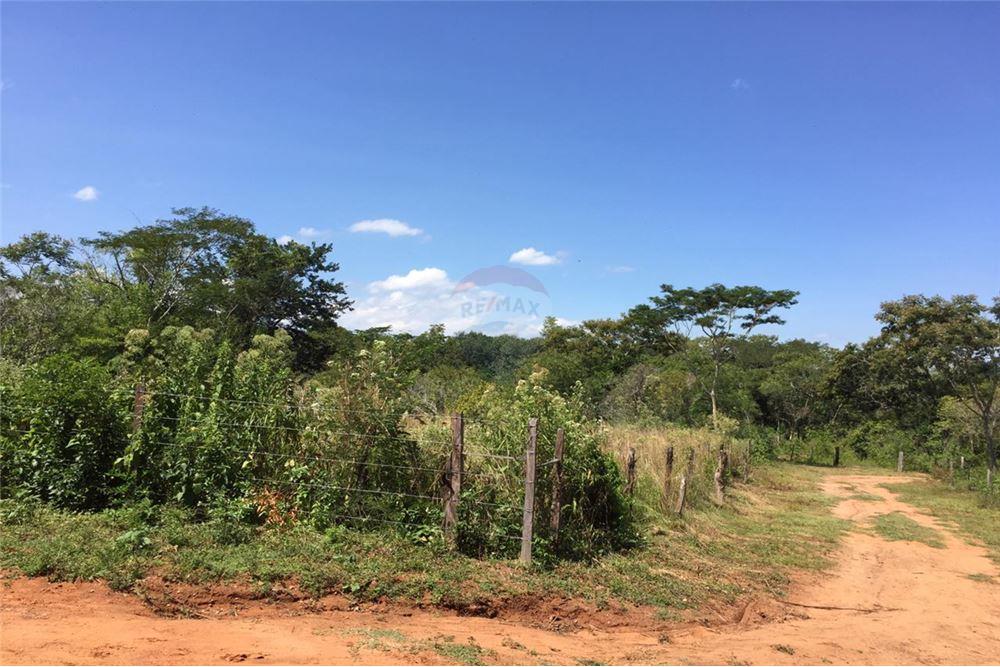 VENDO UNA HECTAREA EN TERRENO EN YAGUARON — foto 3