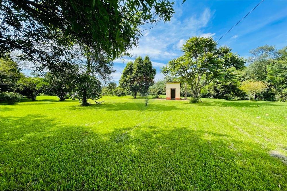 VENDO 25 HECTÁREAS SOBRE CALLE 20 MINGA GUAZU — foto 3