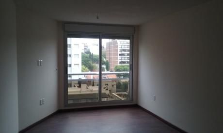 Alquiler Monoambiente Roque Graseras Y Scosería