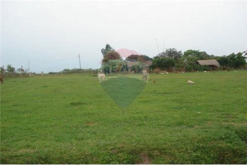 EN VENTA CAMPO DE 540 HAS. EN JUAN DE MENA — foto 3