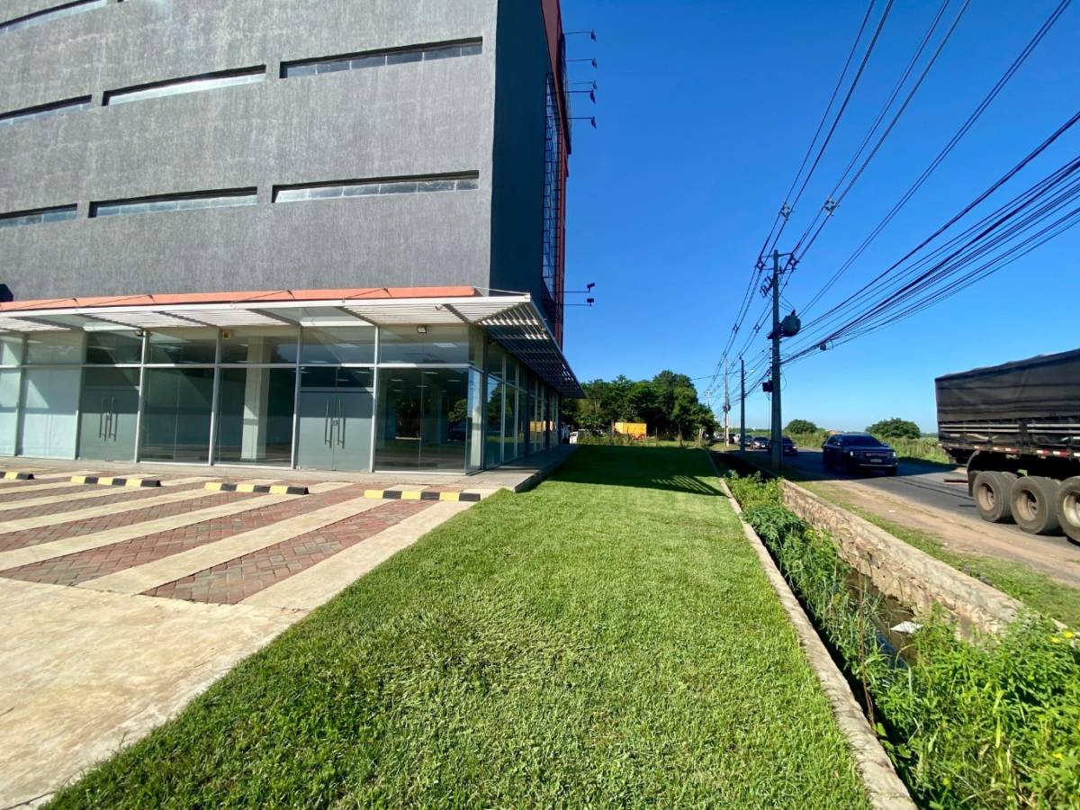 ALQUILER DE SHOWROOM 290 m² — foto 2