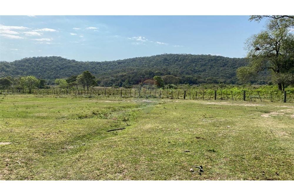 VENDO ESTANCIA FORMADA EN CAAPUCU PARAGUARI 1.613 HECTAREAS — foto 2