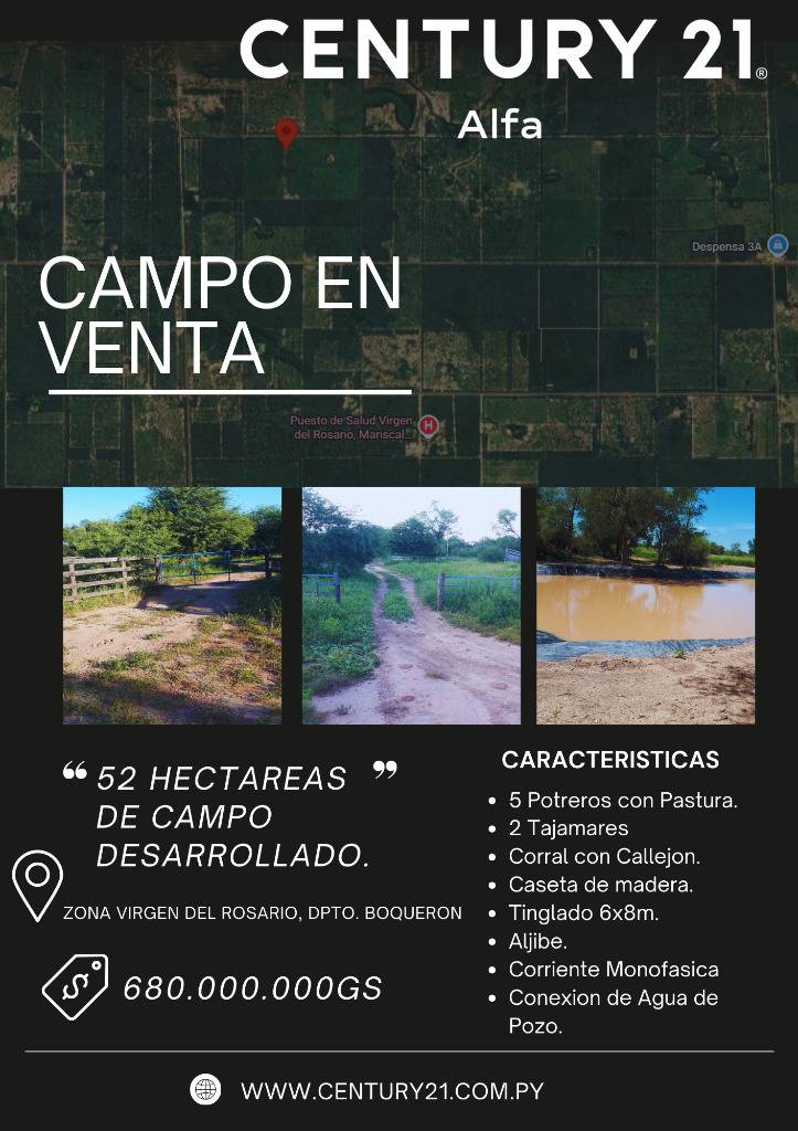 EN VENTA CAMPO DESARROLLADO  CAMPO PRODUCTIVO CON PASTURA PARA USO INMEDIATO. — foto 3