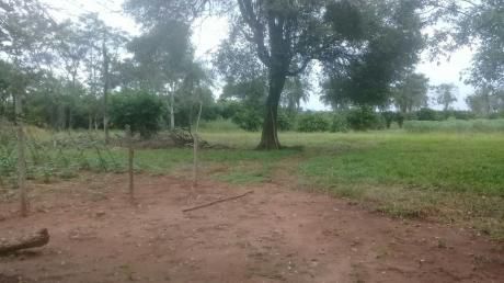Granja De 10 Hectáreas, En Caraguatay, Depto De Cordillera