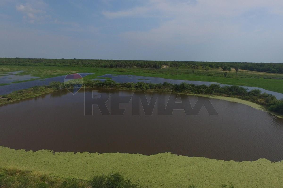 EXCLUSIVO CAMPO VIRGEN EN EL CHACO PARAGUAYO | GRAN OPORTUNIDAD DE INVERSIÓN — foto 3