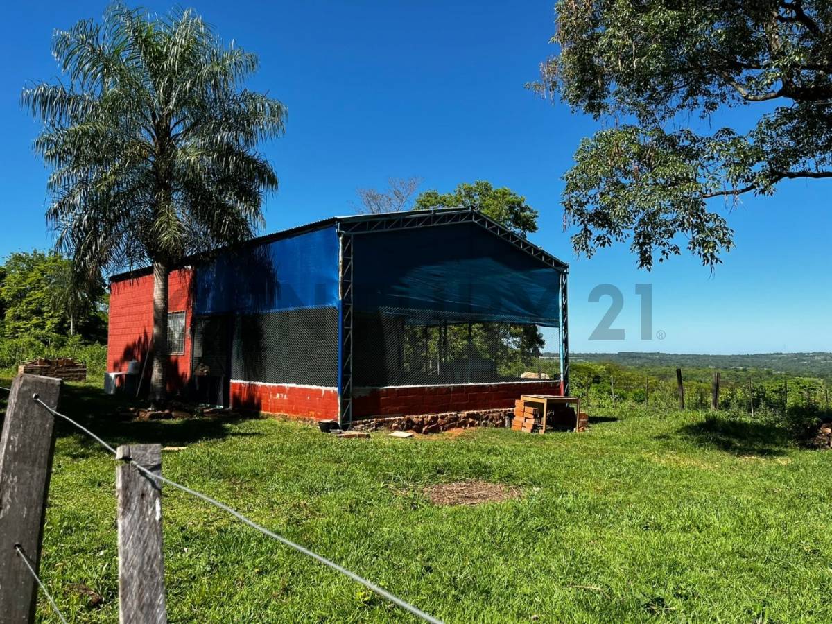 VENDO 13 HECTAREAS EN   CORONEL OVIEDO — foto 3