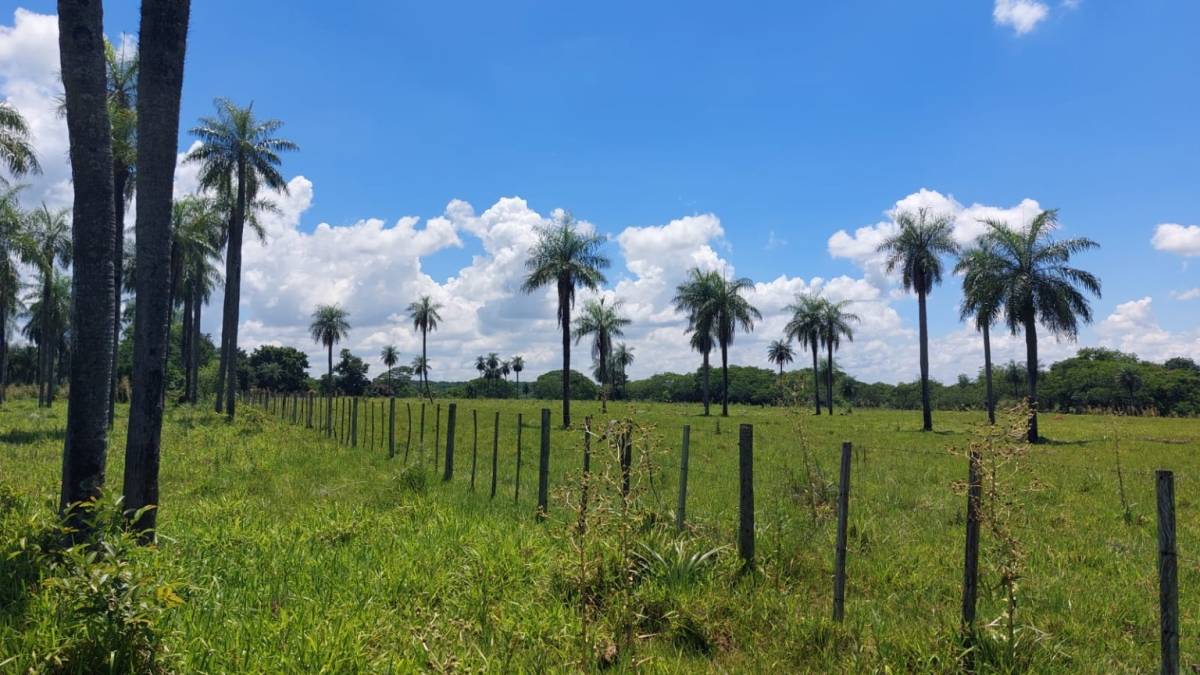 EN VENTA MARAVILLOSA GRANJA EN LA COLMENA-PARAGUARI — foto 2