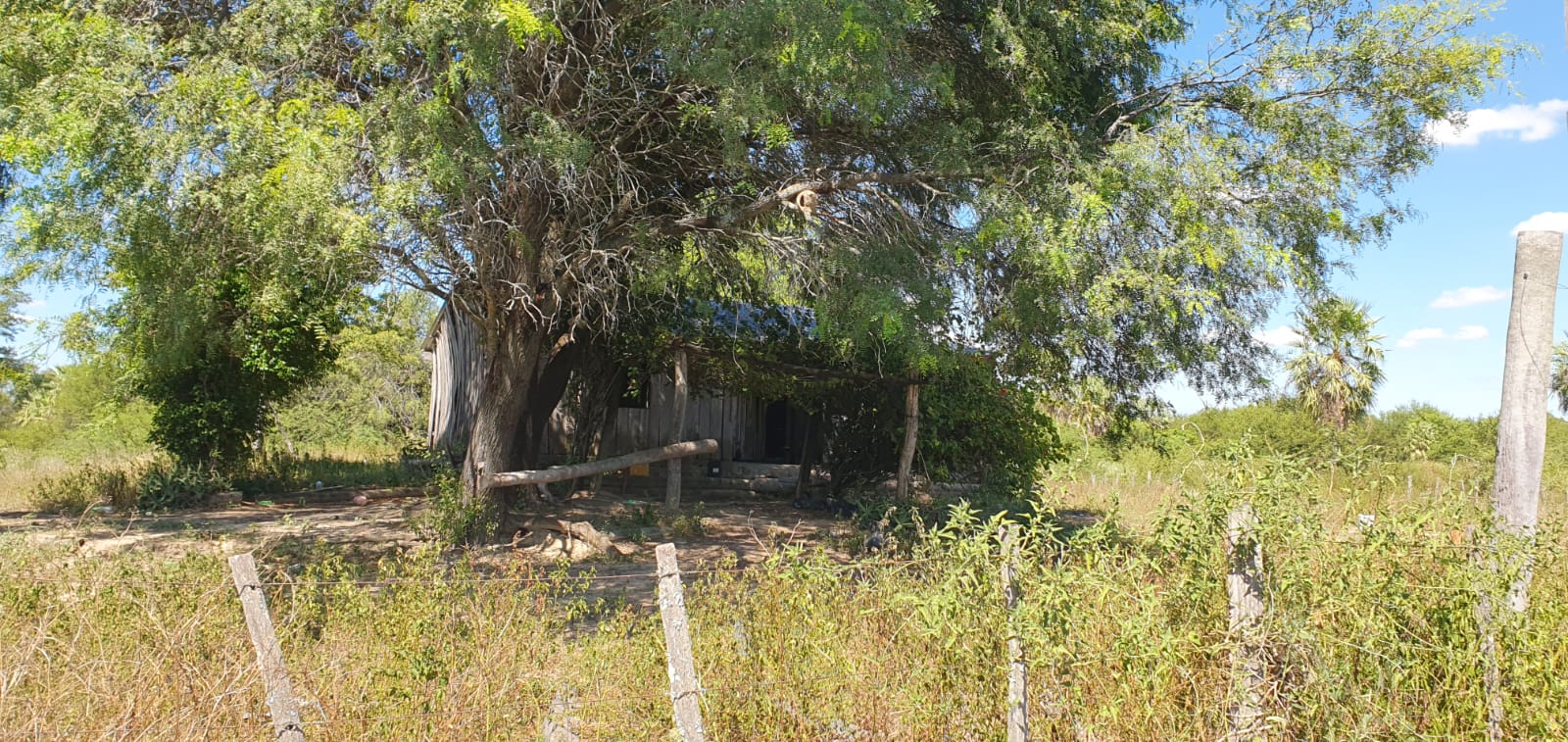 Vendo Campo de 1.328 Hectáreas en Zona Pechugon - CLCS6537028 — foto 3