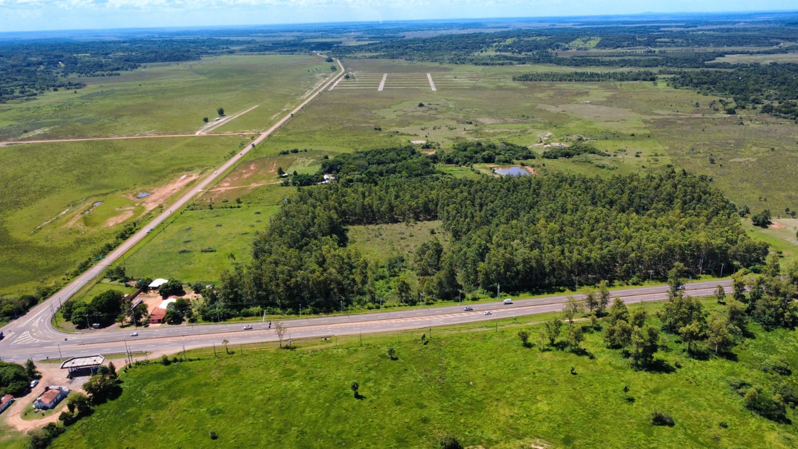 VENDO 10 HECTAREAS EN CORONEL OVIEDO SOBRE RUTA PY02 — foto 3