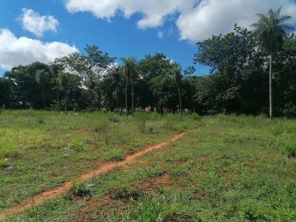 VENDO TERRENO EN AREGUA — foto 2