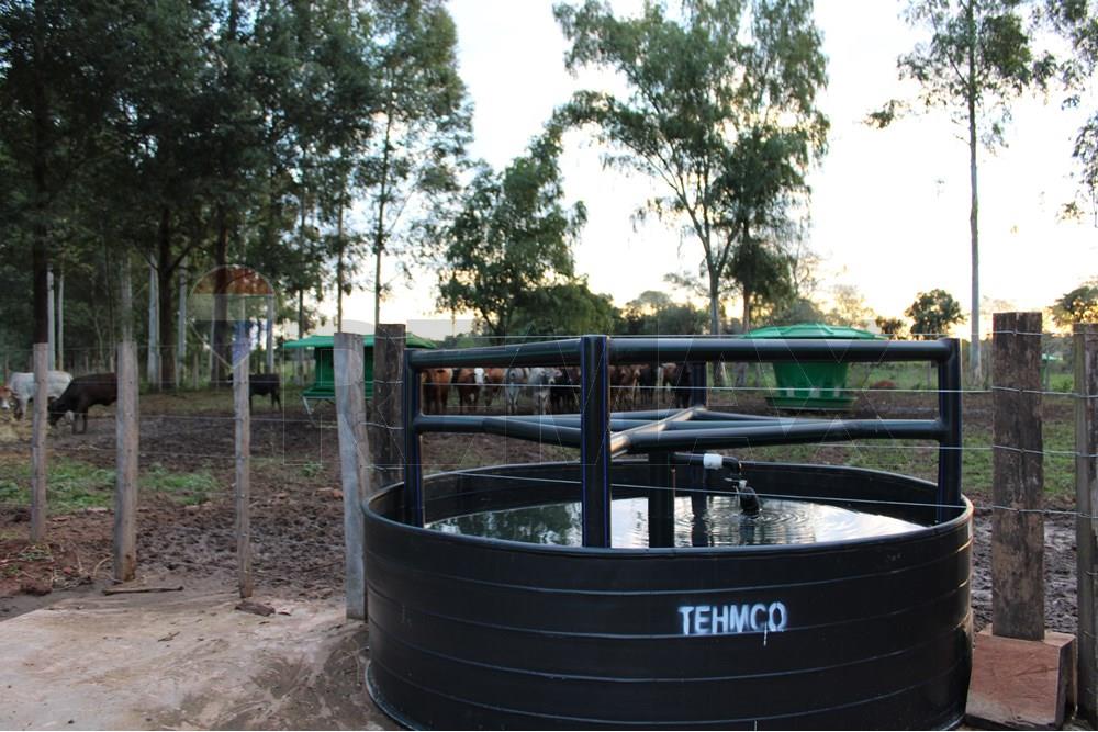ESTANCIA DE ALTO RENDIMIENTO EN VENTA – 2.233 HECTÁREAS EN CAAZAPÁ — foto 3
