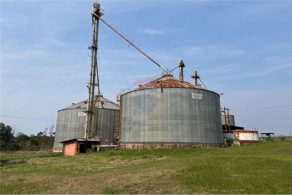 VENDO CAMPO AGROINDUSTRIAL SOBRE RUTA EN PIRAPO ITAPUA — foto 2