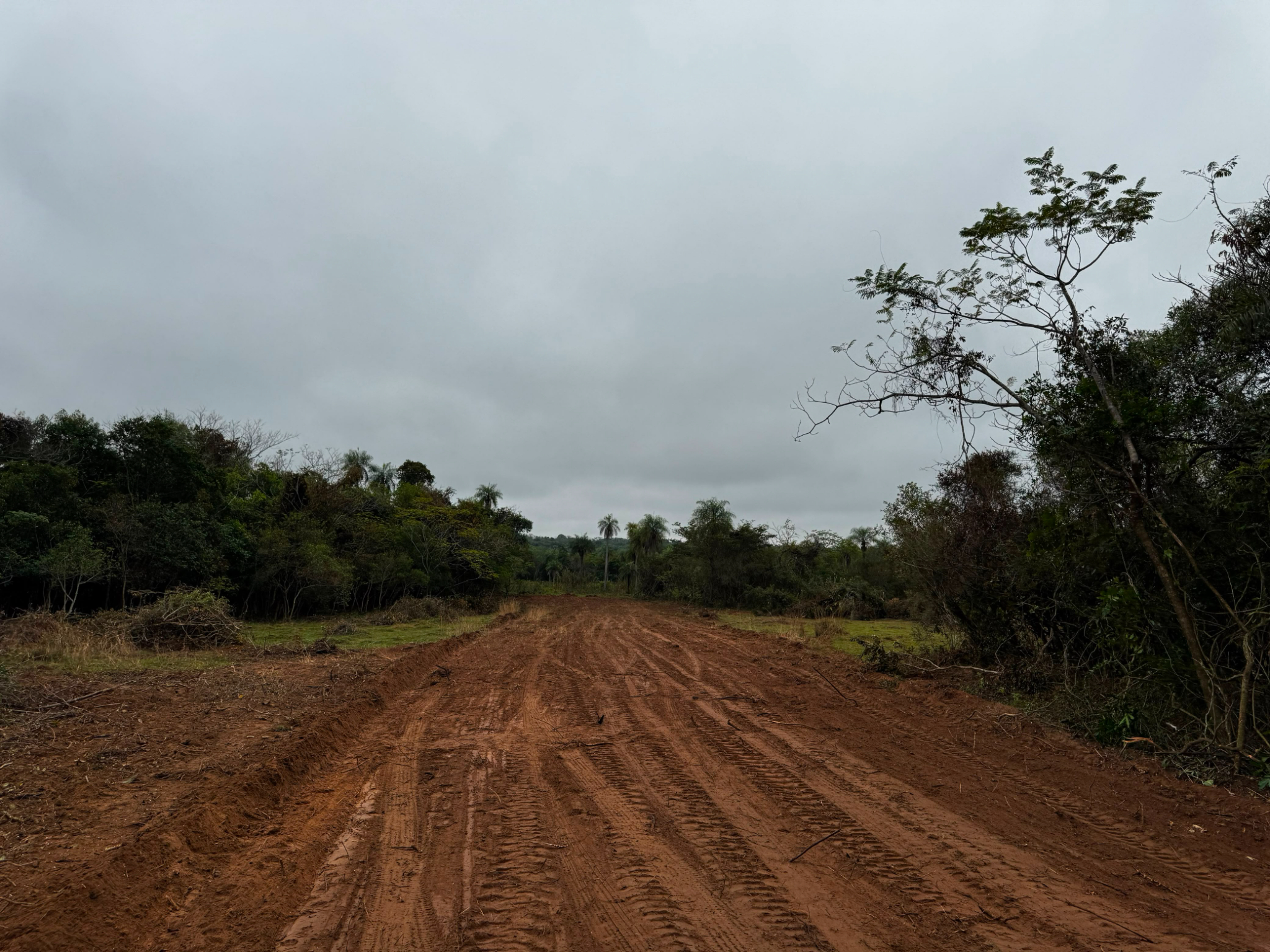 Vendo Terreno en Loma Grande 1 Hectárea — foto 3